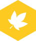 Zenith Capital brand mark